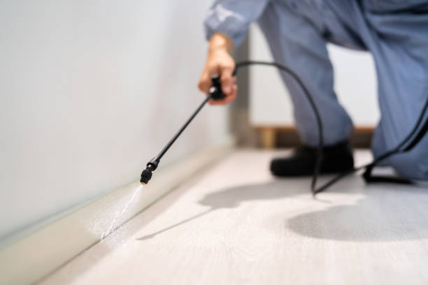 Licensed Pest Control service in Fussels Corner, FL - Show Me Pest Control