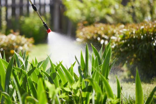 Tamper-Resistant Bait Stations for Rodents in Fussels Corner