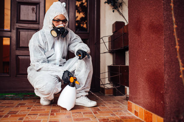 Attic and Crawl Space Rodent Treatment in Fussels Corner