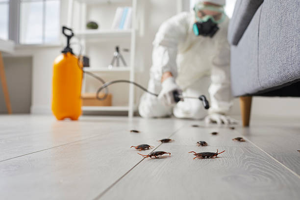 Commercial Rodent Management in Fussels Corner